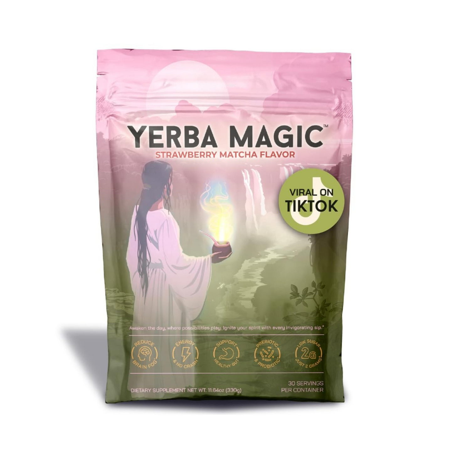 Yerba Mate Instant Tea Powder