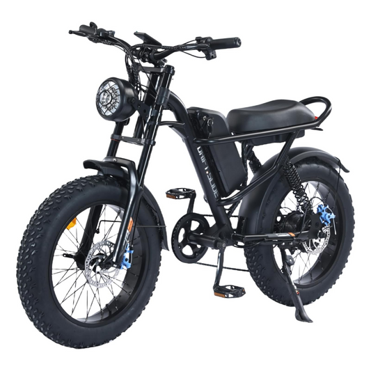 Drift Slide 1500W Peak Power Electric Bike